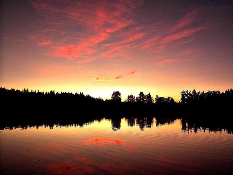 Phantom Lake in the Lake Hills Greenbelt, with trees along the shore at sunset.