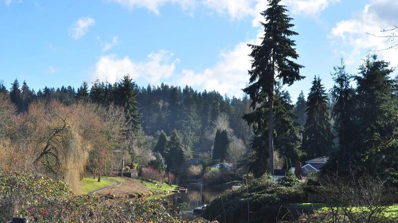 The Sammamish River just above the Bothell Landing bridge, with trees along the banks.