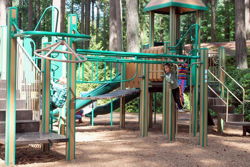 Play structure and swings at Pine Lake Park in Sammamish.