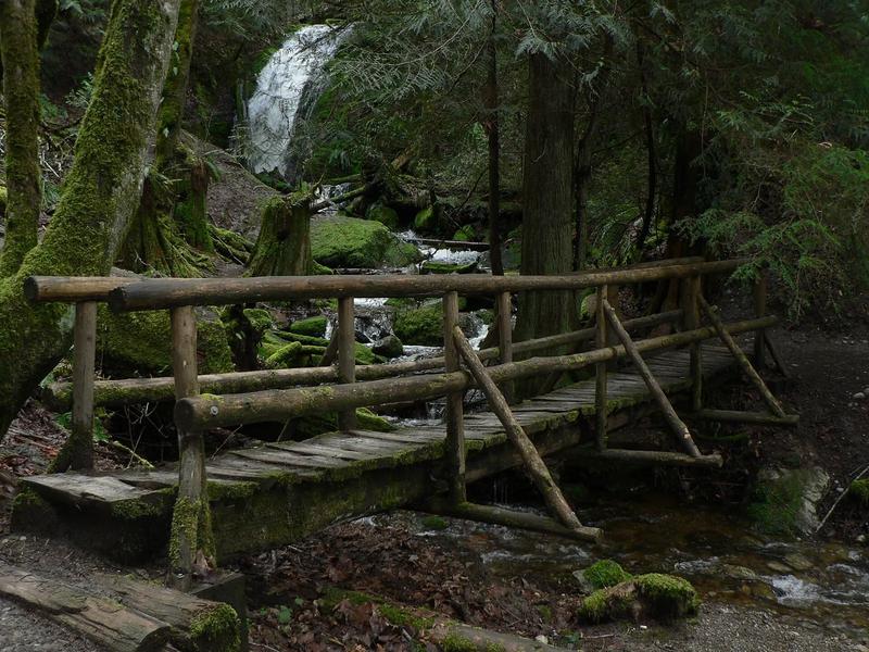 The footbridge at Coal Creek Falls in Cougar Mountain Regional Wildland Park, with the falls behind it.