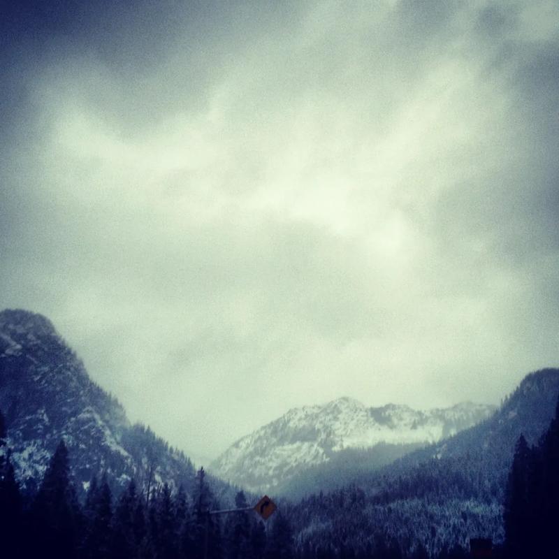 Snow on the trees beside the highway at Snoqualmie Pass.