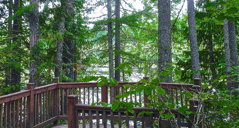 Tradition Lake, a small lake ringed by evergreen forest, seen from a wooden platform.
