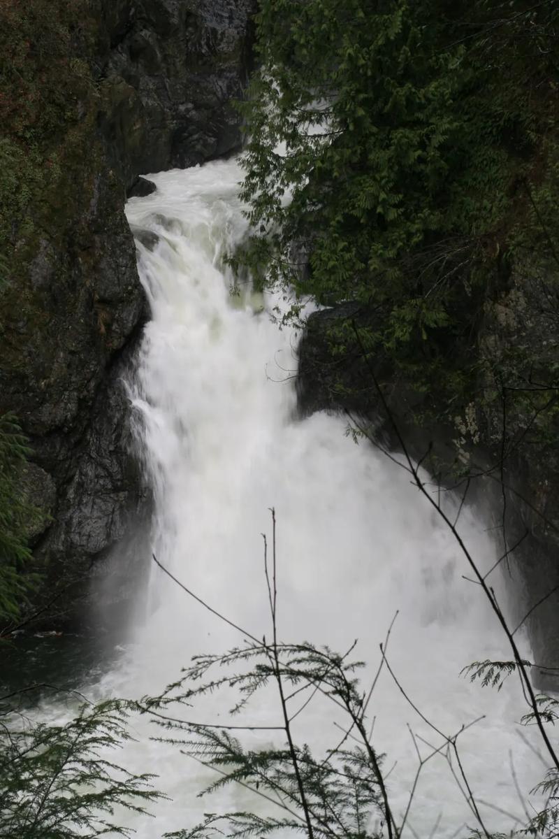 Upper Twin Falls, water dropping over a rock ledge into a pool in the forest.