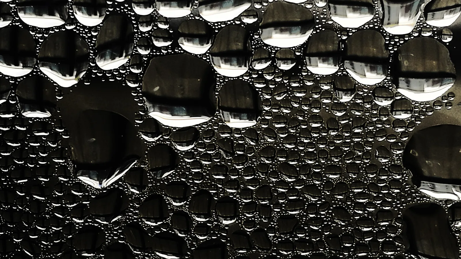 Raindrops and small puddles on a window.