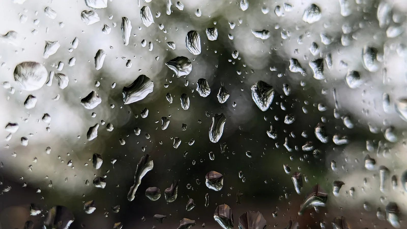 Raindrops on a window pane.