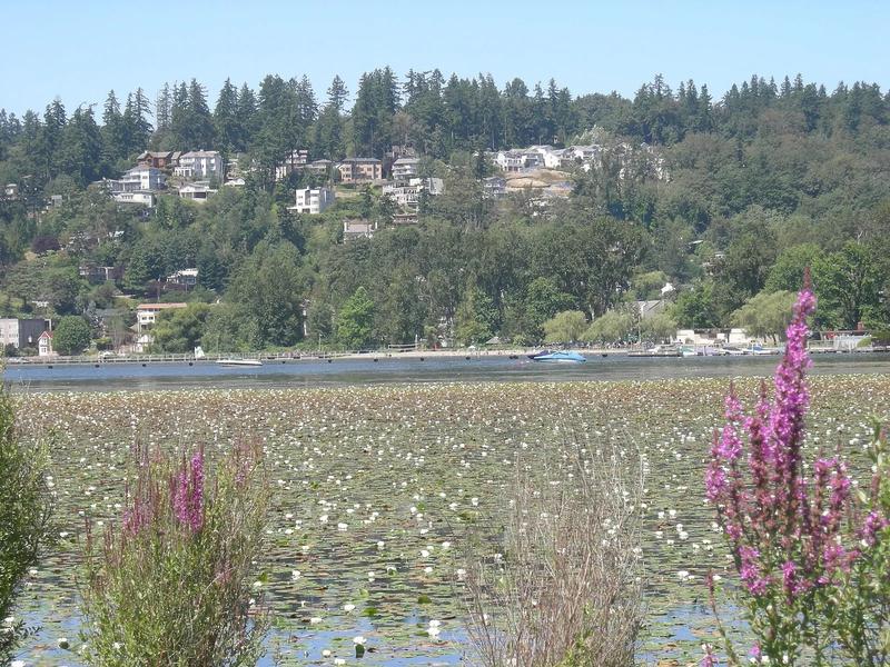 Juanita Beach Park, with the sandy shore, the pier, and Lake Washington.