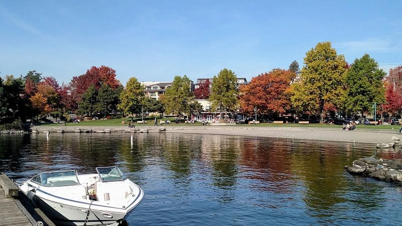 Marina Park in fall, with yellow and orange trees along the shore of Lake Washington and the Seattle skyline across the water.
