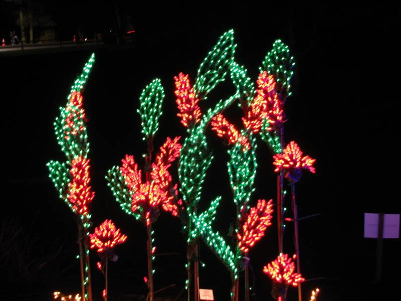 Light sculptures along a path at Bellevue Botanical Garden.