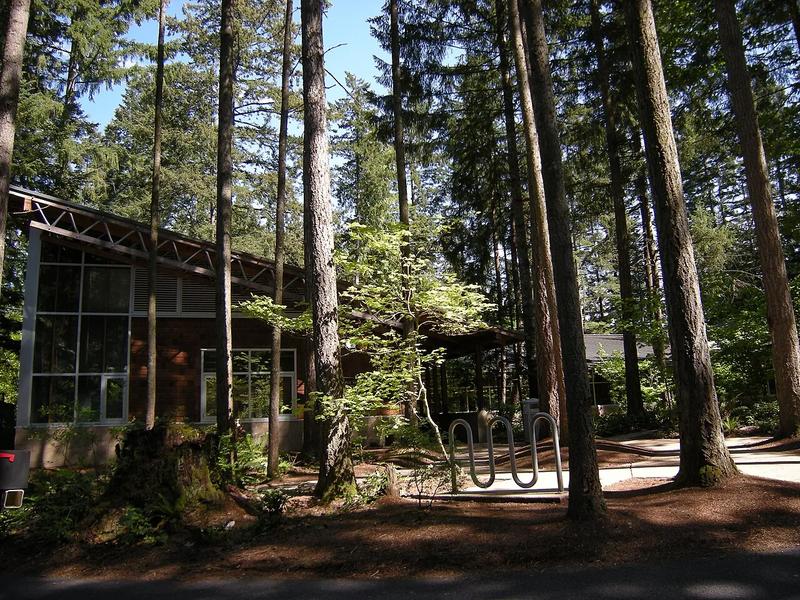 Maple Valley Library, a King County Library System branch with a glass and wood front.