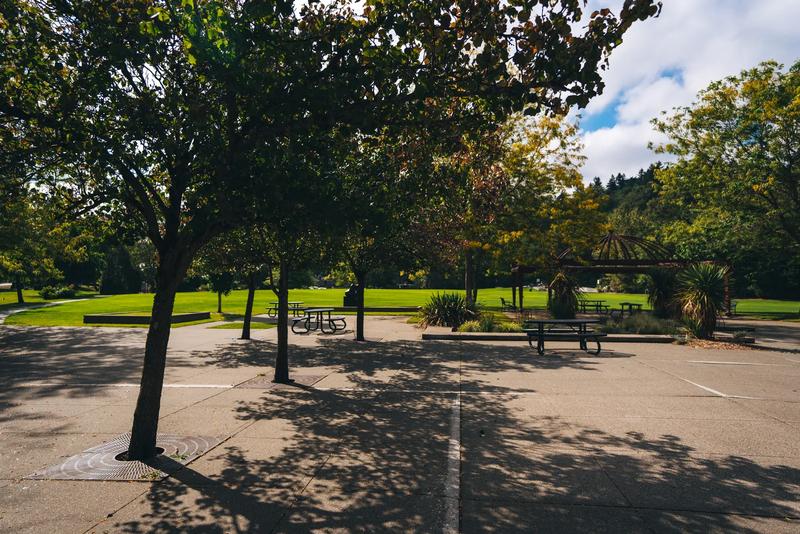 The lawn and path at Mercerdale Park on Mercer Island, with downtown beyond the trees.
