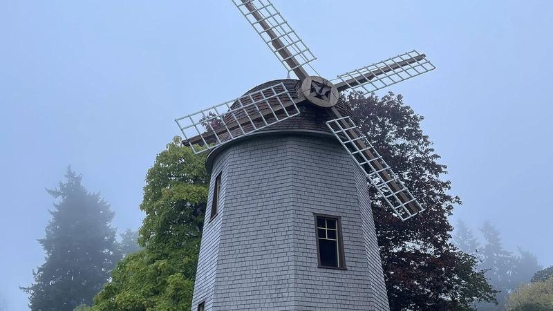 The windmill at Marymoor Park in Redmond, with a wide lawn and blue sky.