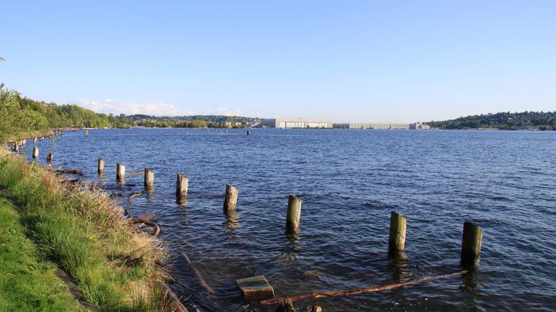 The swimming beach and lawn at Gene Coulon Memorial Beach Park in Renton, with Lake Washington beyond.