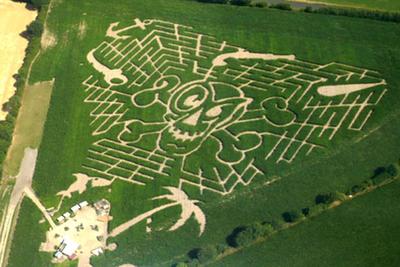 A corn maze in a green field, seen from a nearby hill.