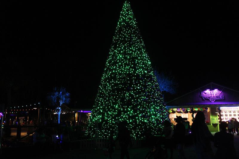 A walkway covered in blue and white Christmas lights.
