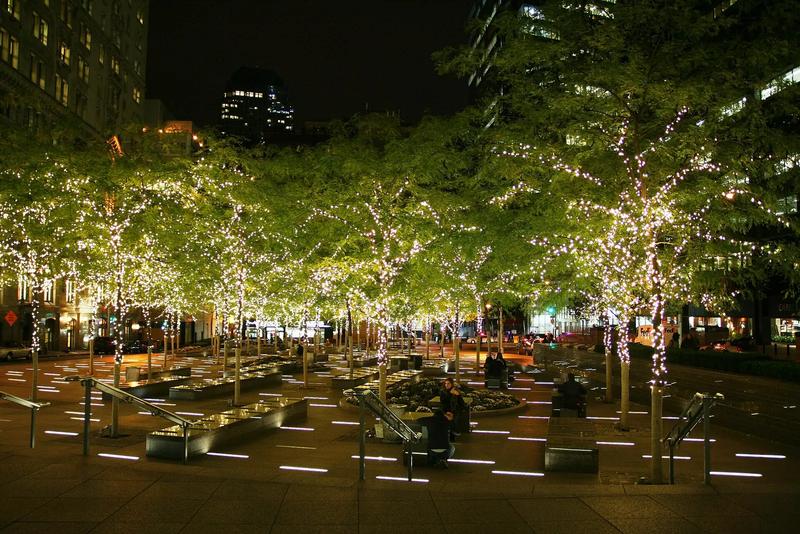 Trees covered in white lights in a city park.