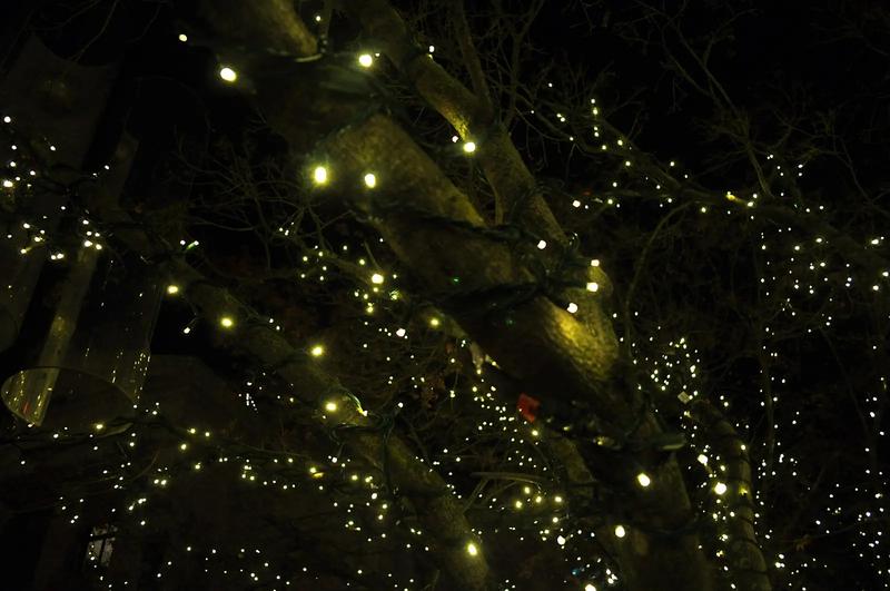 A path lined with blue and white lights at night.