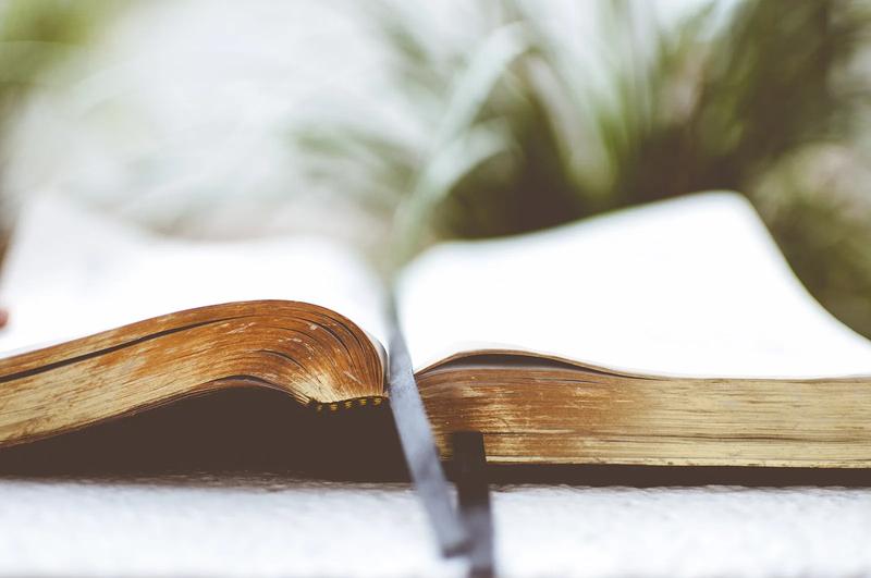 An open book lying flat.