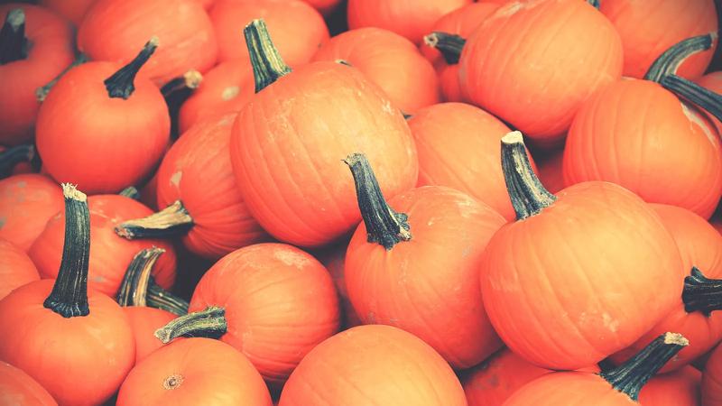 A pile of orange pumpkins.