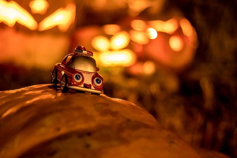 A small toy car parked among miniature pumpkins.