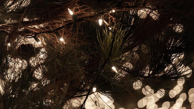 Out-of-focus colored lights on a Christmas tree.